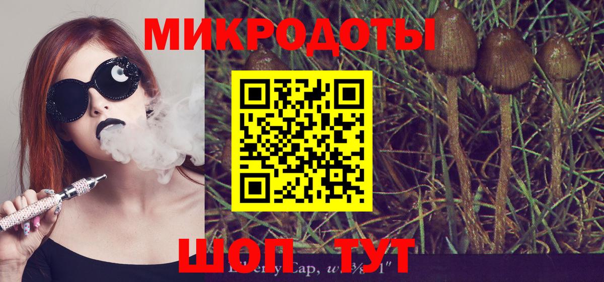Мытищи  Псилоцибиновые грибы GOLDEN TEACHER  Псилоцибиновые грибы Cubensis  Вход с VPN 